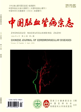 中国脑血管病封面